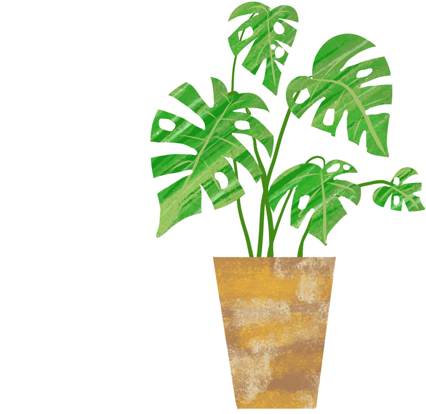 観葉植物のイラスト